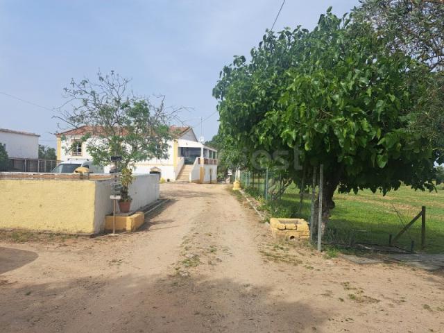 Fabulosa Quinta a 3 minutos da Cidade de Beja com área Privativa de 324 m2 e uma área Toral de 2, 8155 ha