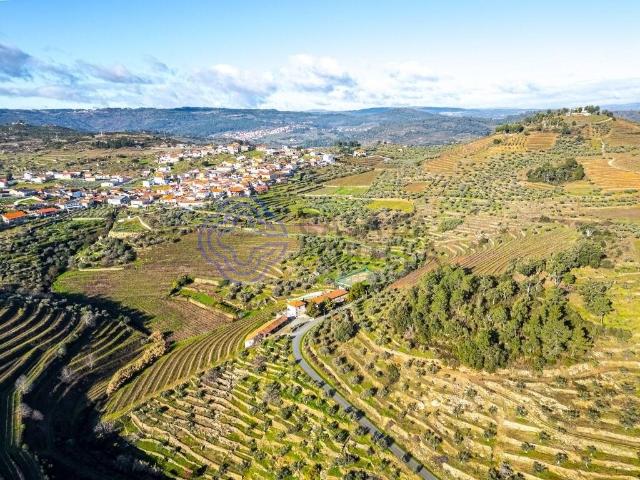 Fabulosa Quinta de Turismo Rural com 20 hectares 492m² Santa Eugénia