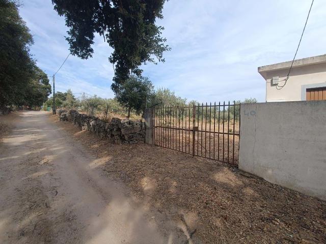 Fabuloso Terreno, Lousa, Castelo Branco
