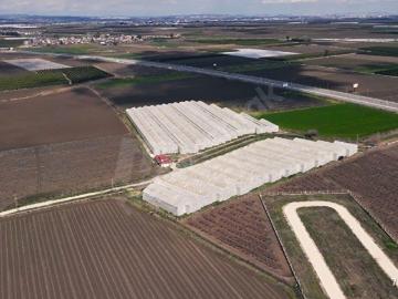 Kargılı, Tarsus, Tarsus, Mersin ili, Akdeniz Bölgesi