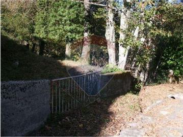 Fafe Braga 100020079