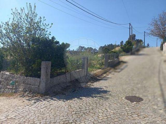 Fafe Braga 102116555