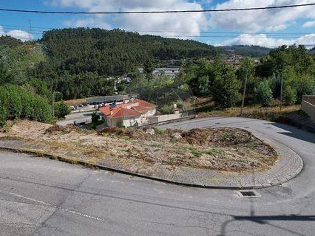 Fafe Braga 105273126
