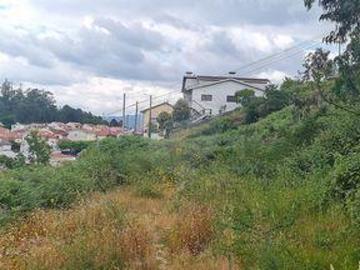Fafe Braga 94608680