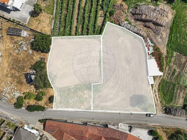Fafe Braga 99701572