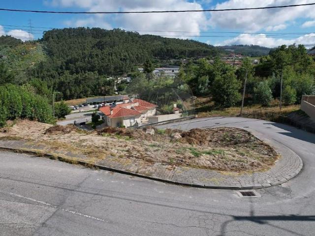 Fafe Fafe 104946061