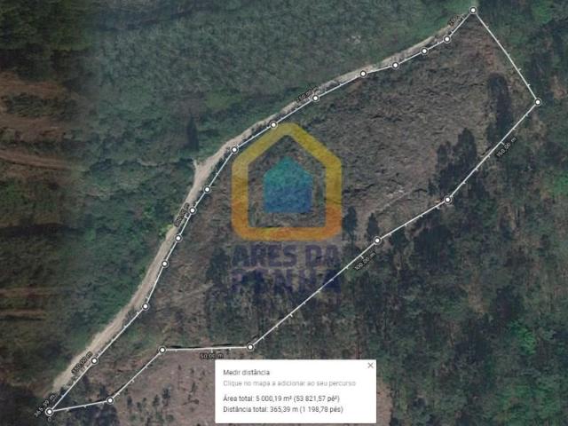 Fafe Fafe 105195285