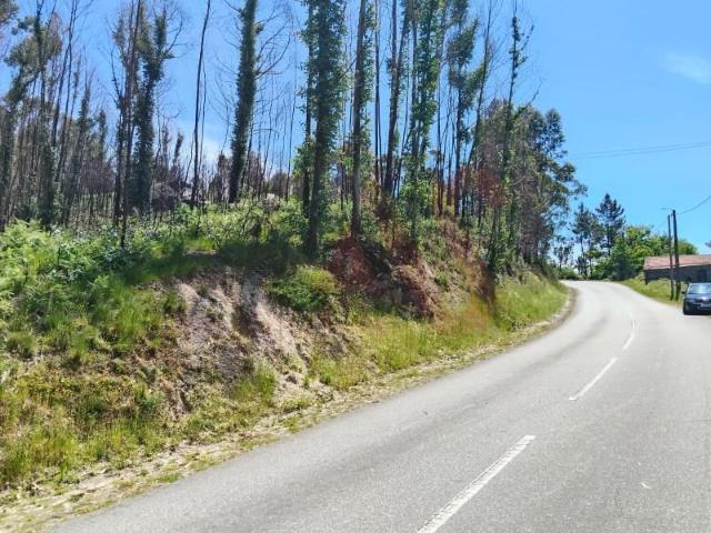 Fafe Fafe 4820 013 97335106