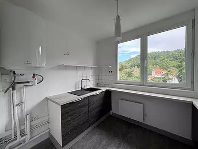 Falck 57550 Location appartement 2 pièces t2 cave