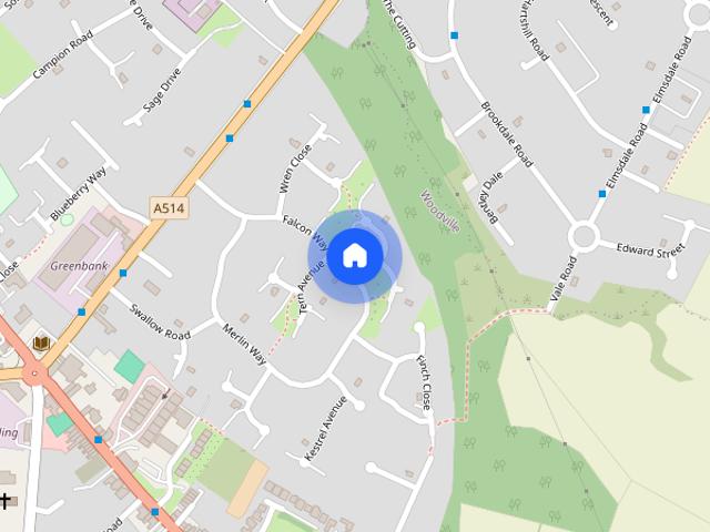 Falcon Way, SWADLINCOTE, DE11 7QS