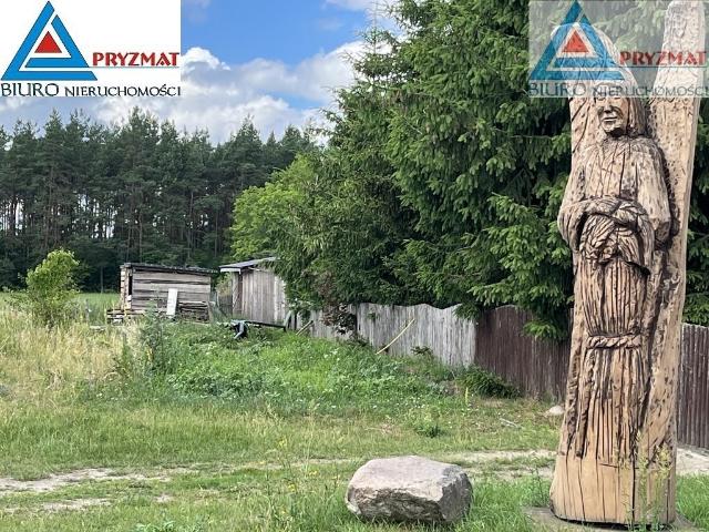 Zapraszam do obejrzenia siedliska 11021 m² w Farynach