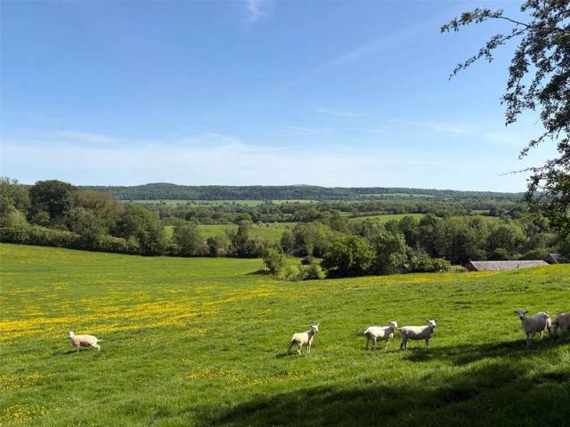 Farm Commercial