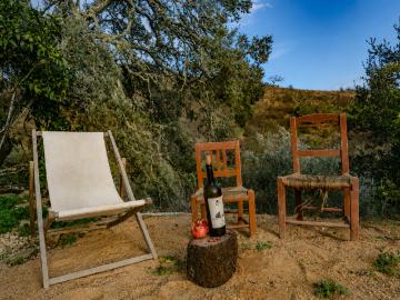 Farm |For Sale | Alentejo | Odemira 100m² São Martinho Das Amoreiras