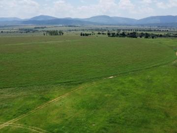 Modimolle Local Municipality, Capricorn District Municipality, Limpopo