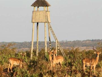 Modimolle Local Municipality, Capricorn District Municipality, Limpopo