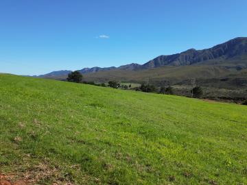 Kareedouw, Kou-Kamma Local Municipality, Sarah Baartman District Municipality, Eastern Cape