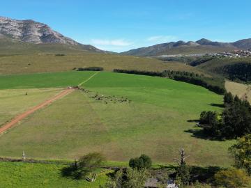Kareedouw, Kou-Kamma Local Municipality, Sarah Baartman District Municipality, Eastern Cape