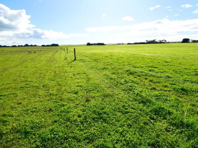 FARM LAND