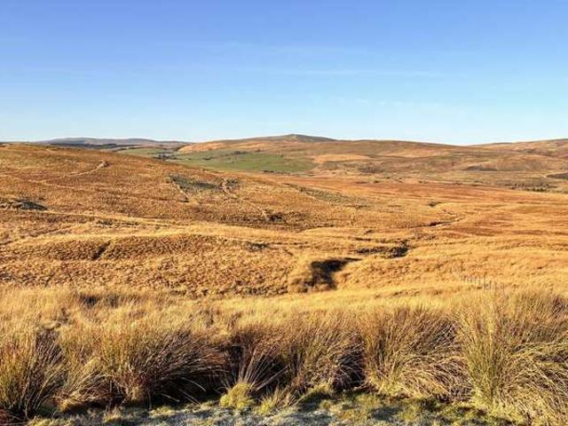 Farm Land Commercial