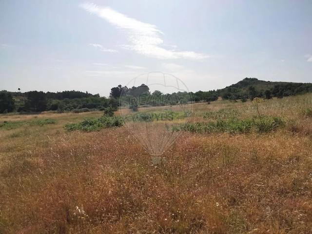 Farm T0 in Arcos, Tabuaço