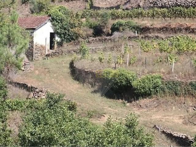 Farm T0 in Teixeira e Teixeiró, Baião