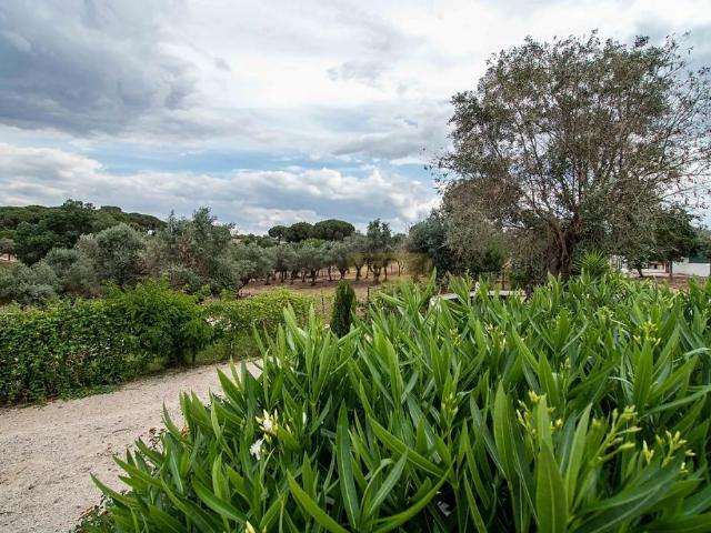 Farm T2 in Évora São Mamede, Sé, São Pedro e Santo Antão, Évora