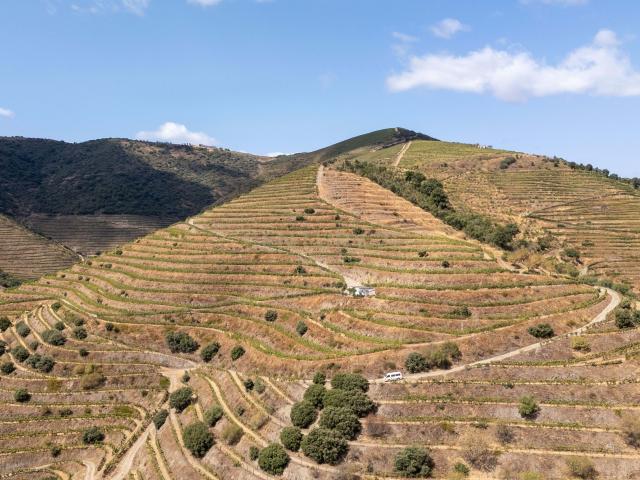 Farm with productive vineyard in the Douro Demarcated Region — São João da Pesqueira
