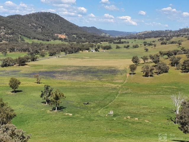 FARMING AND LIFESTYLE JUST OUT OF MUDGEE