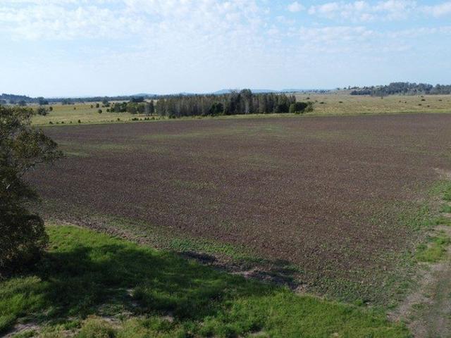 FARMING / LIFESTYLE OPPORTUNITY AWAITS