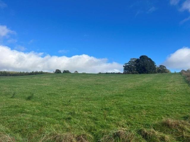 Farmlet at Mount Hicks
