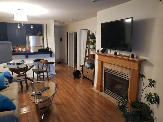 Farnaz Adli Has an Apartment