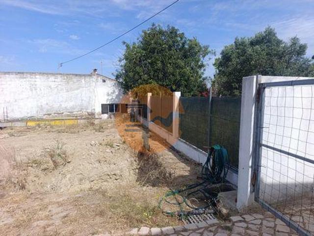 Faro Faro 105329965