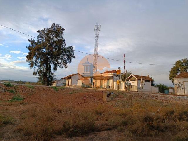 Faro Faro 101398130