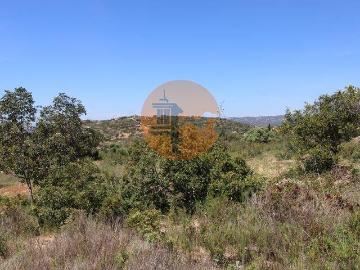 Faro Faro 101398145