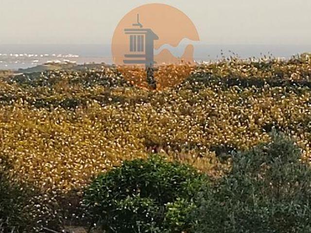 Faro Faro 101398150