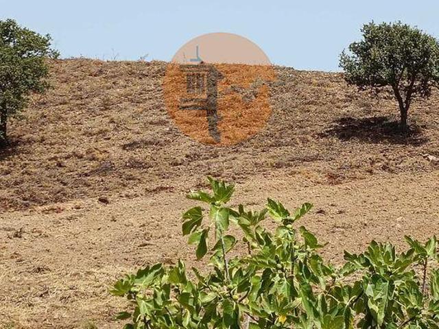 Faro Faro 101398173