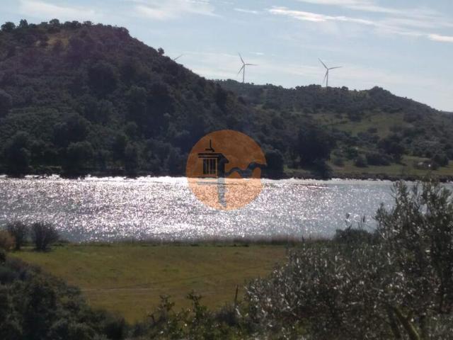 Faro Faro 101398184