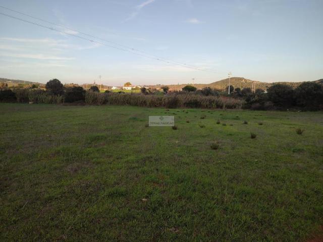 Faro Faro 101398489