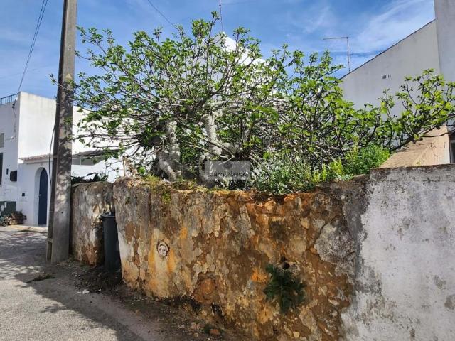 Faro Faro 101398543