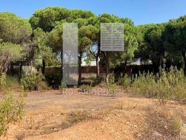 Faro Faro 101399425