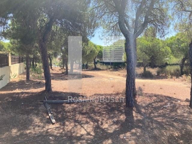 Faro Faro 101399426