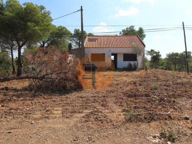 Faro Faro 102010778