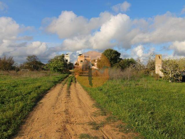 Faro Faro 102010813