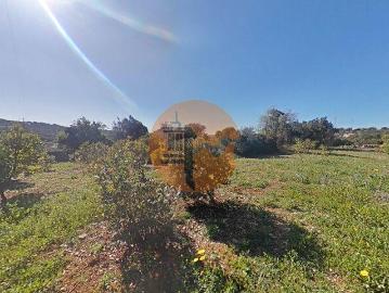 Faro Faro 103060949