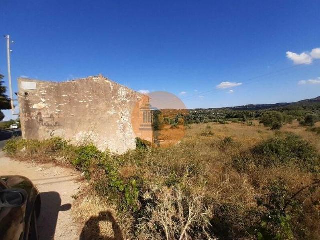 Faro Faro 103396224