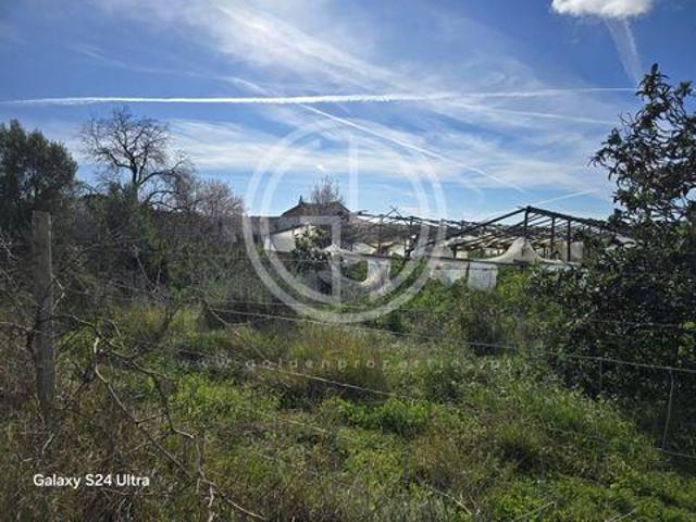 Faro Faro 88672972