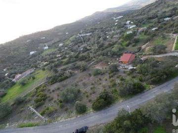 Faro Faro 95815853