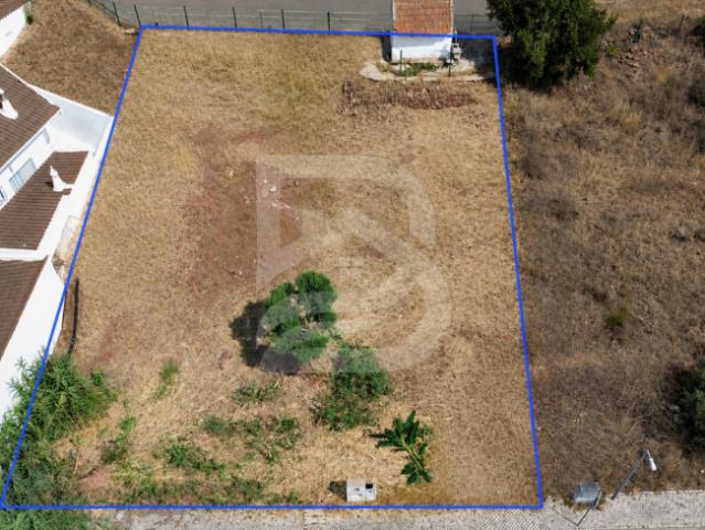 Faro Silves 8300 103611709