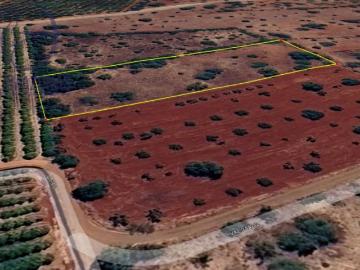 Faro Silves 8375 103354861