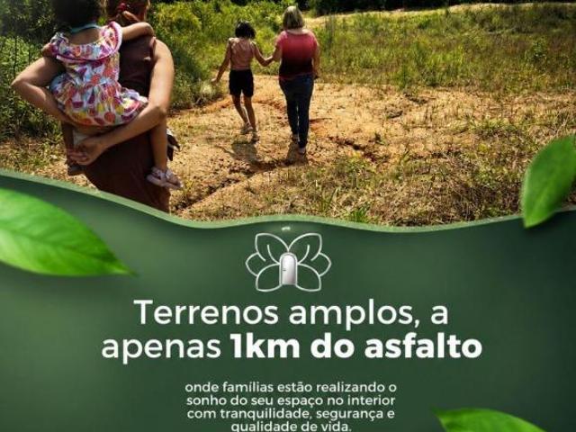 fase inicial de desenvolvimento